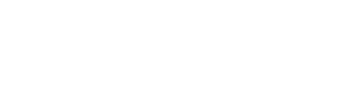 SafetyOne Ingegneria S.r.l.